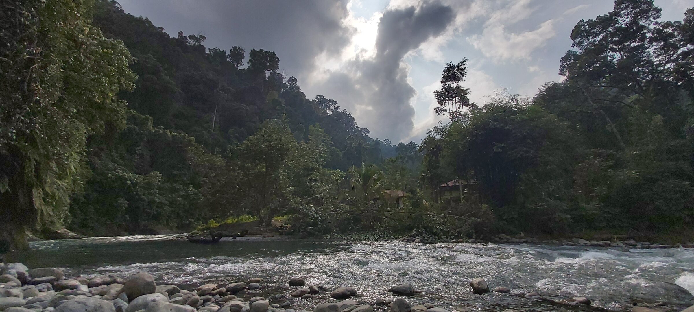 Bukit Lawang VIP